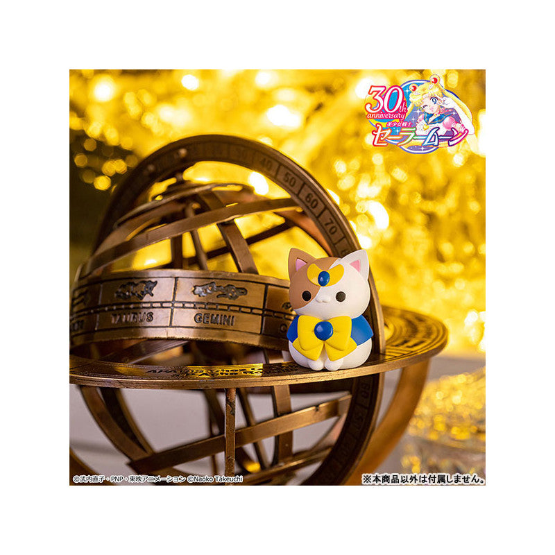 MEGA CAT PROJECT ~Sailor Moon~ Sailor Mewn In the name of the moon I will punish mew!